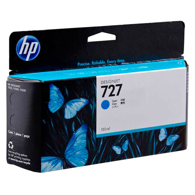 B3P19A