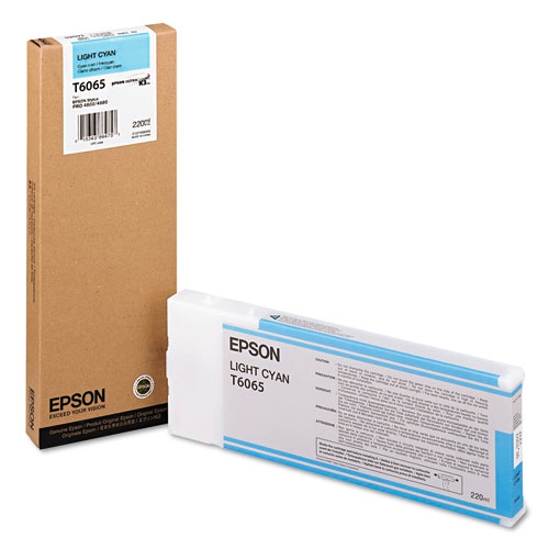 TINTA EPSON T606500 (